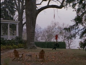 Of course a house like this would have a tire swing!