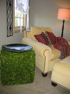 This table in the guest room was...unusual. Wonder if you have to keep it watered?