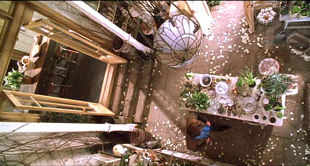 overhead view of conservatory in Practical Magic