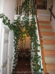 green-house-2
