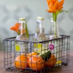 wire baskets-my sparrow