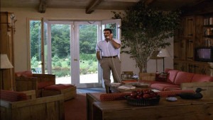 lower level family room