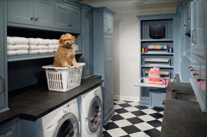 cute dog in laundry room