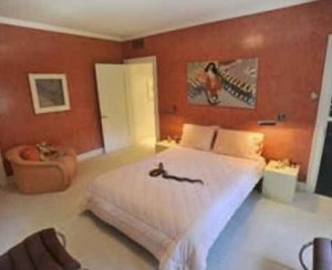 snake on bed