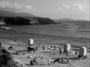 the beach below Gull Cottage
