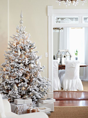 Deserae's house at Christmas