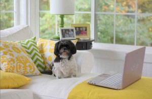 Maizie and the laptop fall 2011