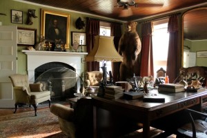 Celia's house-study