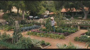 Meryl Streep's cutting garden It's Complicated