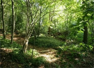A. A. Milne's former home East Sussex for sale 5