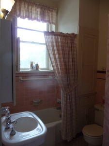 Shelby's pink bathroom