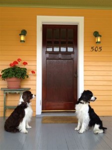 dogs on the porch
