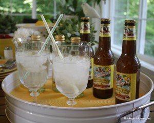 shandy in the sunroom