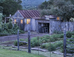 Country Living-Magnolia Pearl ranch exterior