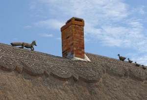 Old Foxy chasing ducks on thatched roof-Old Fox Cottage