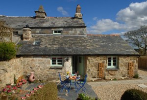 Teacup Cottage-Unique Home Stays 8