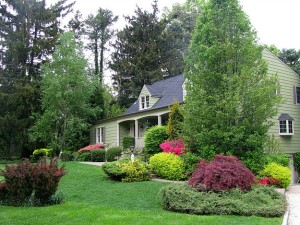 Renita's house in Spring-exterior