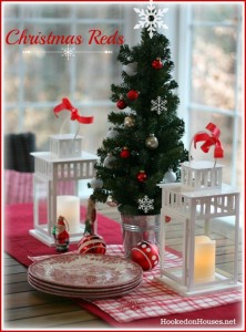 Christmas Reds in my sunroom 2012