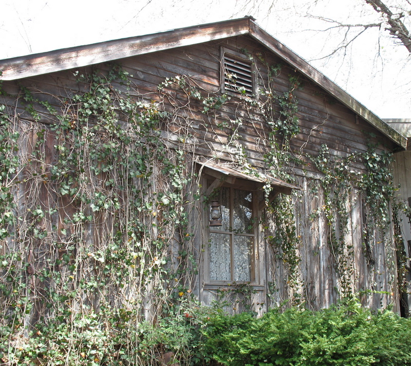 side exterior of replica of Dolly\'s childhood cabin