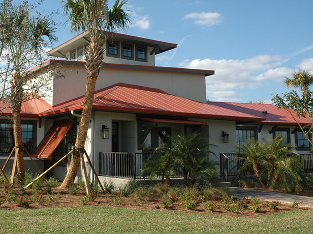 front exterior of HGTV\'s Green Home 2009 with palm tree in yard