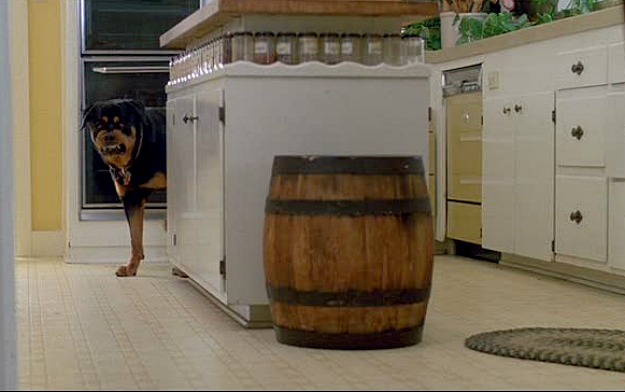 Ferris Bueller's 1980s kitchen-dog