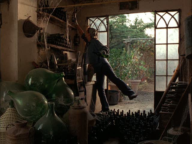 Diane Lane doing inventory of wine bottles in shed