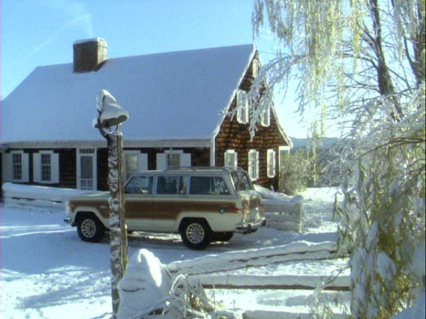 Funny Farm house-front in snow