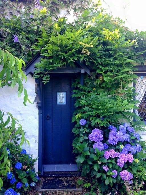 front door of Fig Tree Cottage with hydrangeas and climbing vines