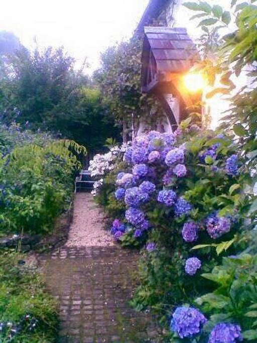 A close up of a flower garden