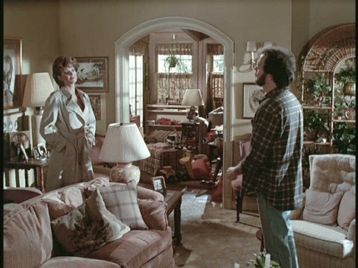 living room of the Mr. Mom house