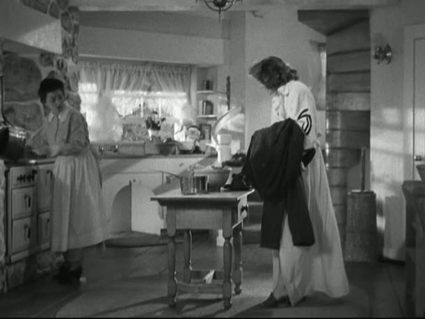 two women in kitchen of country house