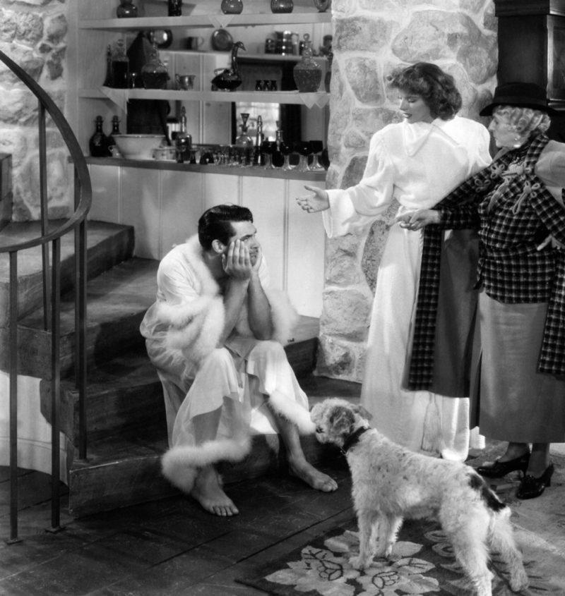 Cary Grant in dressing gown with Katharine Hepburn in Bringing Up Baby movie