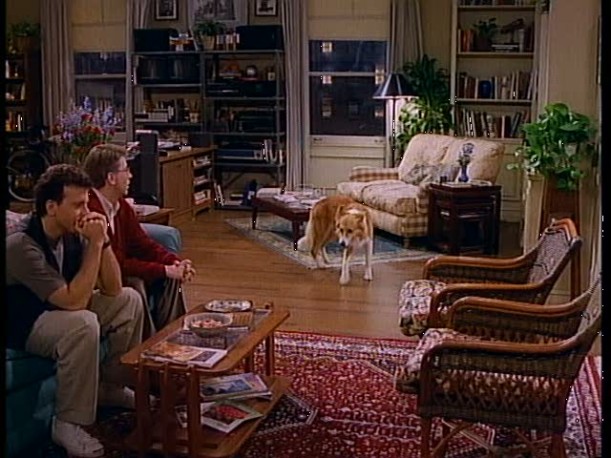 dog in living room of Mad About You apartment