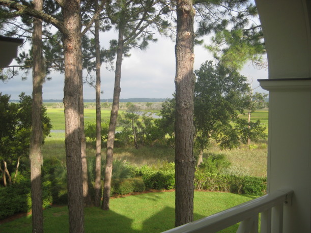 view of marsh from house