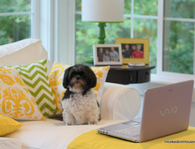 Julia Behind the Blog: October News and Goings On