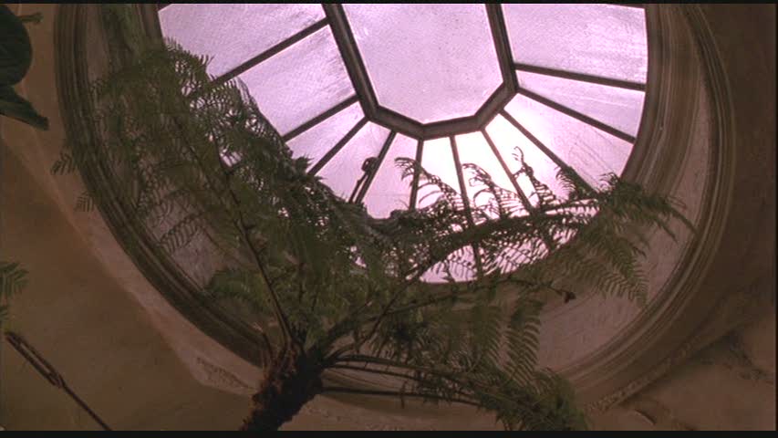 greenhouse skylight in Green Card apartment