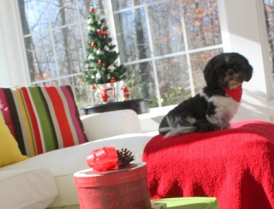 My Sunroom Is Ready for Christmas…Now All We Need Is a Little Snow!