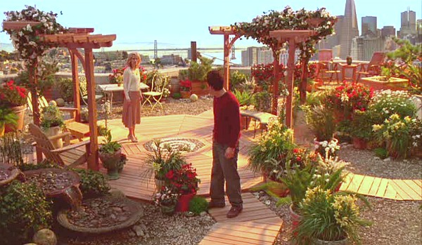 Mark Ruffalo-rooftop garden in Just Like Heaven