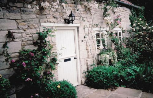 A close up of a flower garden in front of a house