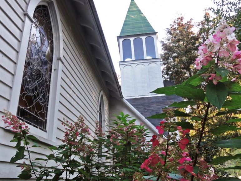 A close up of a flower garden in front of a building