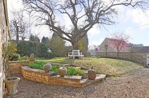 old tree with bench that goes around its base