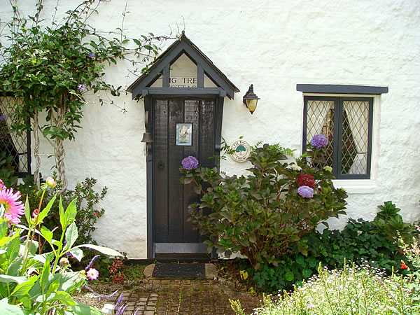 front door of Fig Tree Cottage