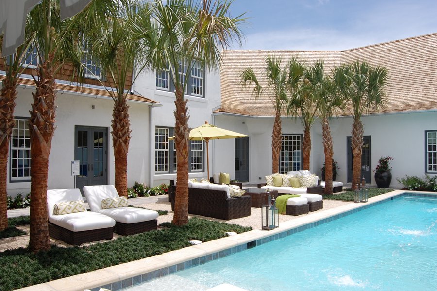 palm trees by the pool