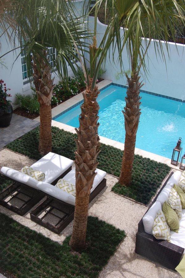 looking down on the palm trees and pool from second story of house