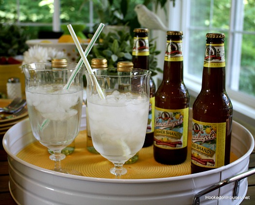 shandy in the sunroom