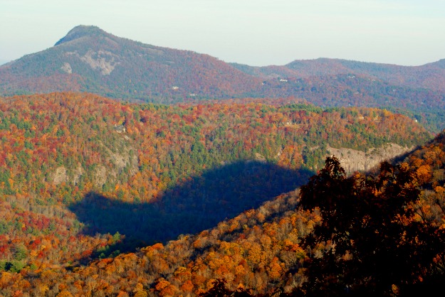 A large mountain in the background with bear shadow over trees in North Carolina