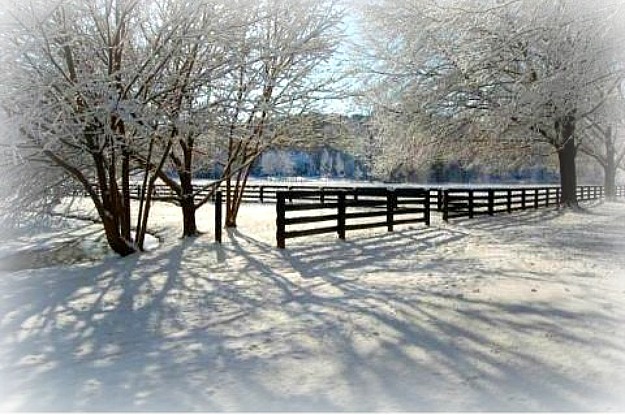 field and horse fence in the snow