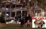 “The Big Chill” Antebellum House For Sale in South Carolina