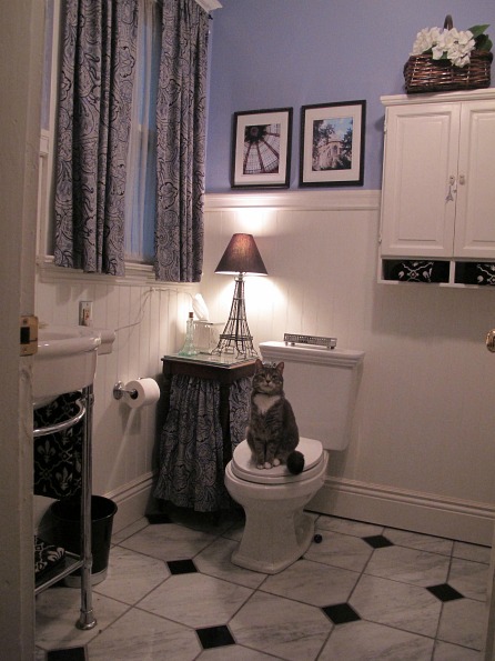 Sharon's Edwardian bathroom 2