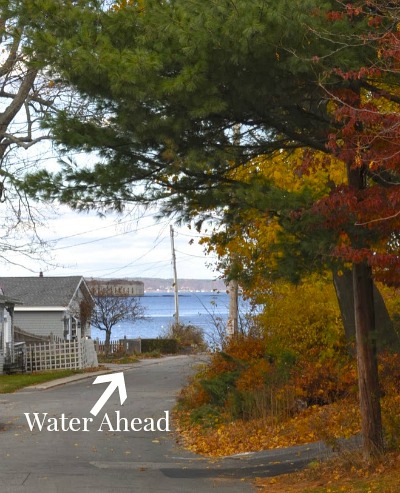 View of the Water from House